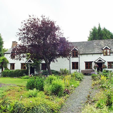 Glencoed B&B Wrexham Exteriör bild