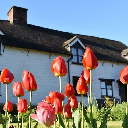 Glencoed B&B Wrexham Exteriör bild