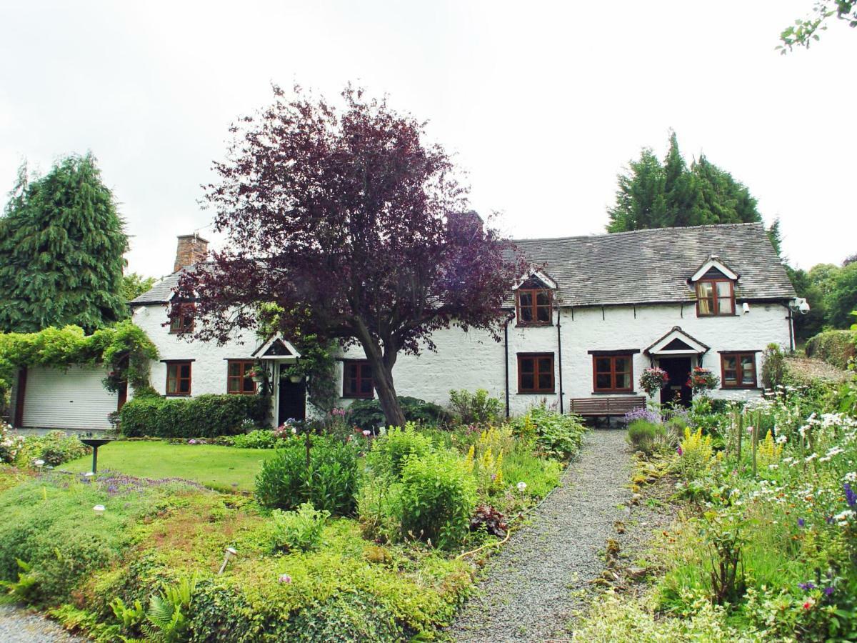 Glencoed B&B Wrexham Exteriör bild