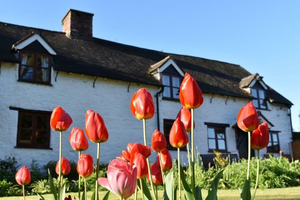 Glencoed B&B Wrexham Exteriör bild